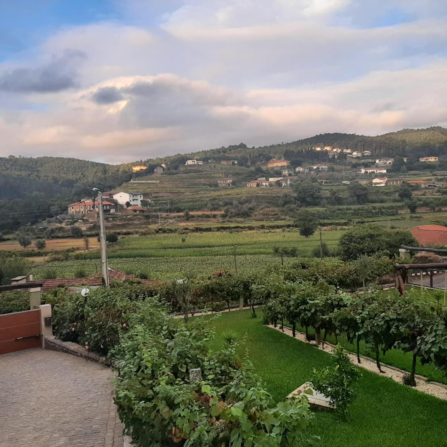 Willa Casa Da Tia Bina Castelo de Paiva Zewnętrze zdjęcie
